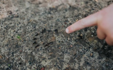 img-13