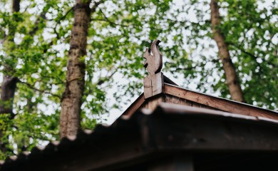 img-1